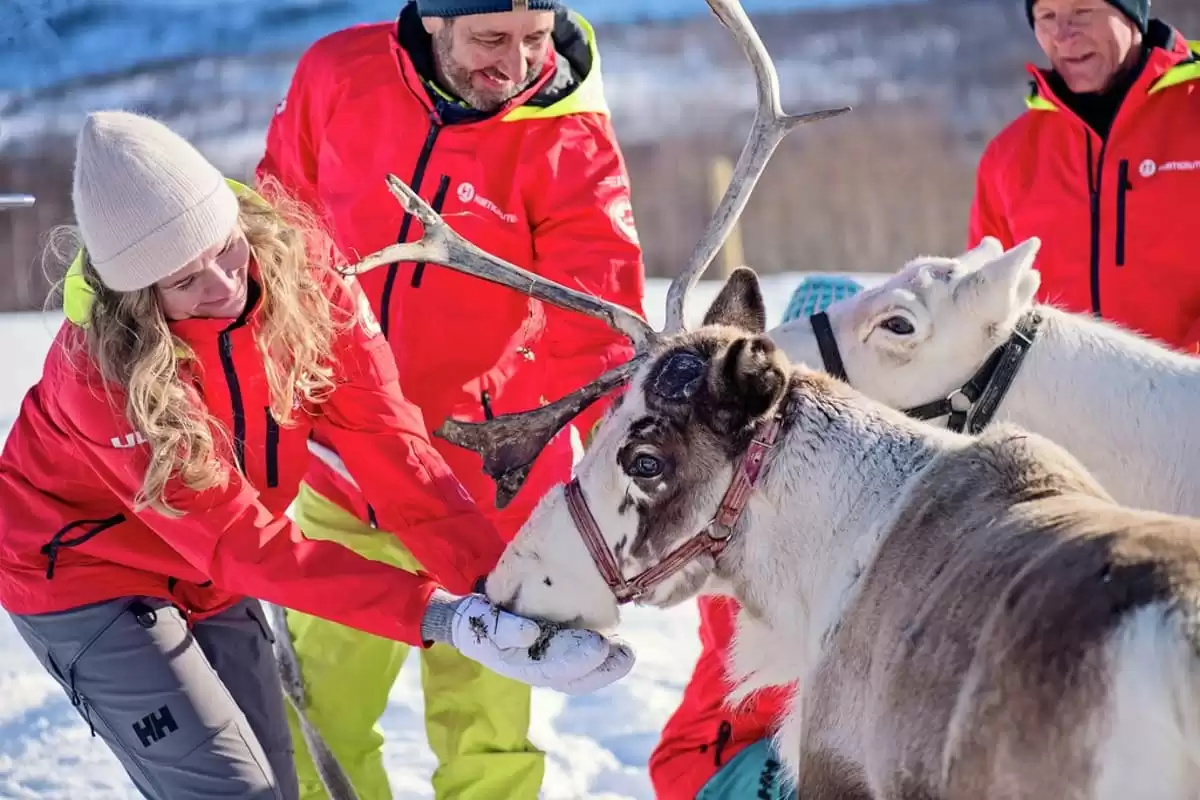 le MS Richard With :  cabine 11