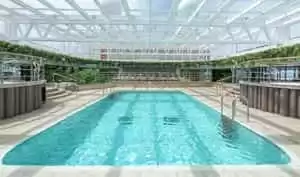 4-Piscine Jungle