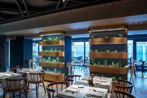 2-ELEXIR - MIXOLOGY BAR