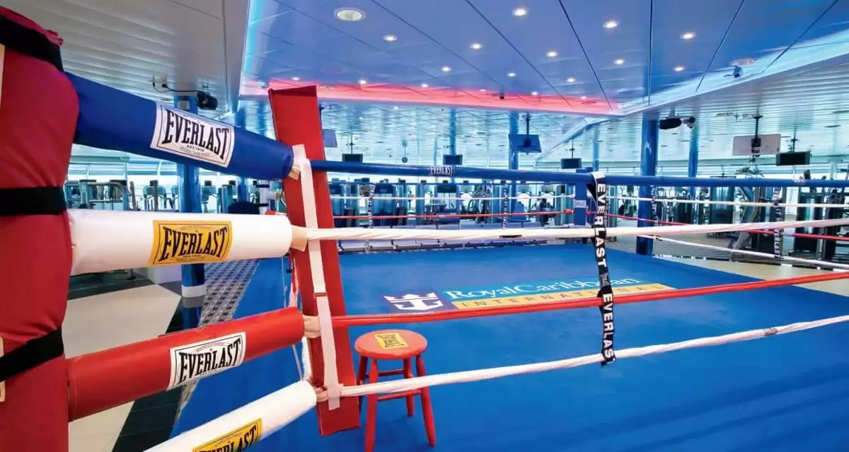 le Freedom of the Seas :  cabine 18