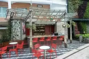 Trellis Bar