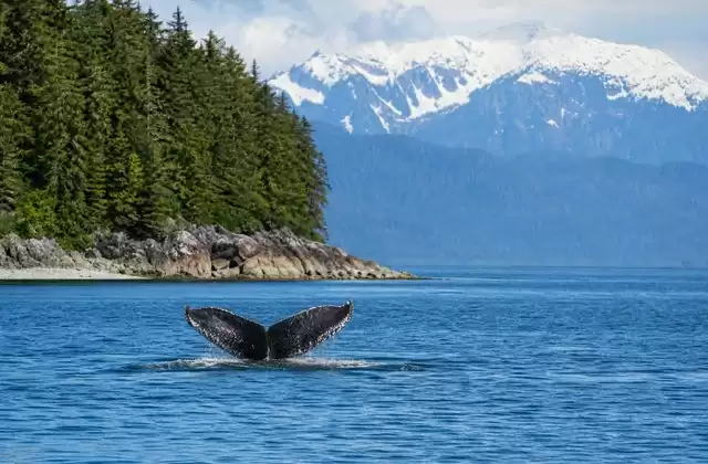 À Icy Strait Point