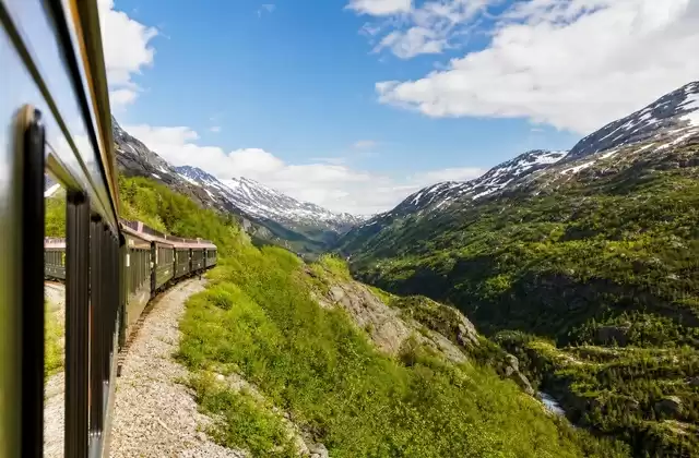 Depuis le train du White Pass