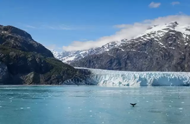 À Glacier Bay