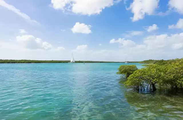 Codrington Lagoon