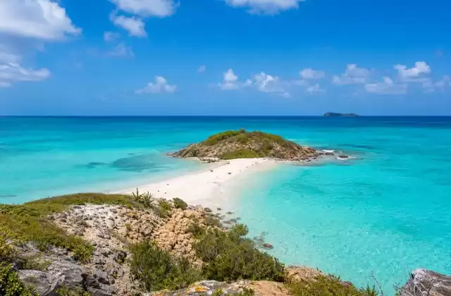 Great Bird Island