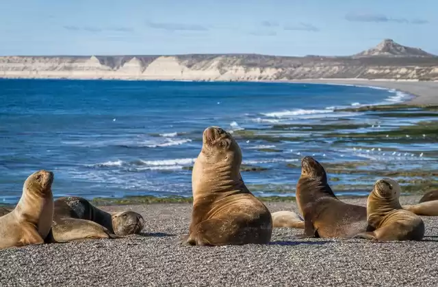 À Puerto Madryn