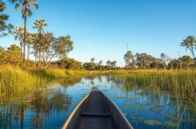 Mokoro dans l’Okavango