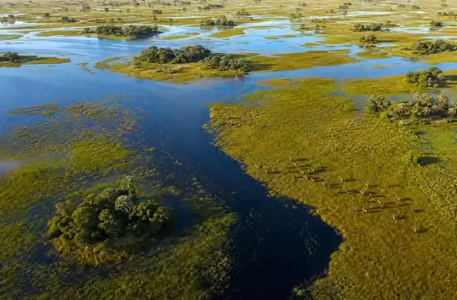 Survol de l’Okavango