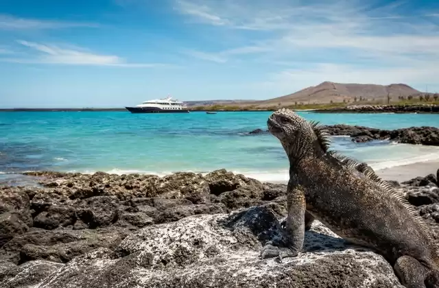 Aux Galápagos