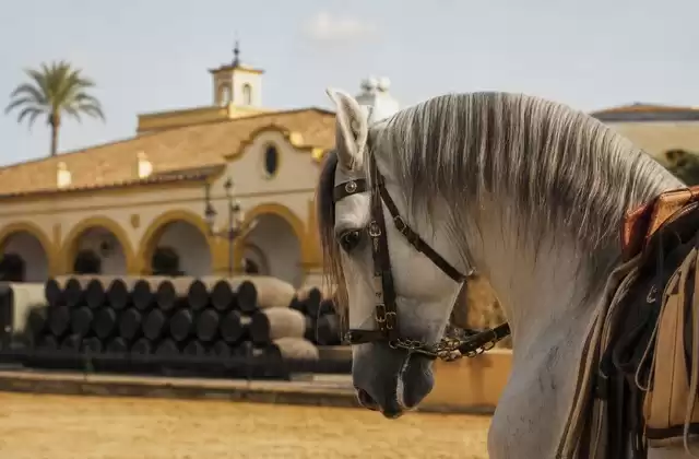 Jerez