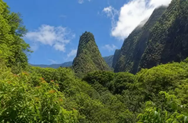 À Maui