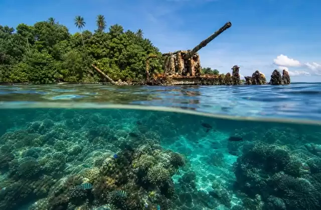 Autour de Kennedy Island