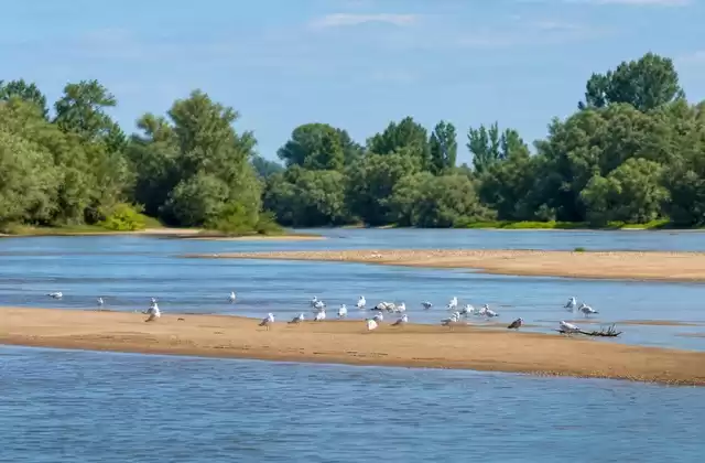 Îles de Loire