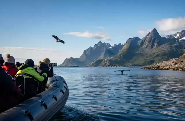 Dans l'Archipel de Lofoten