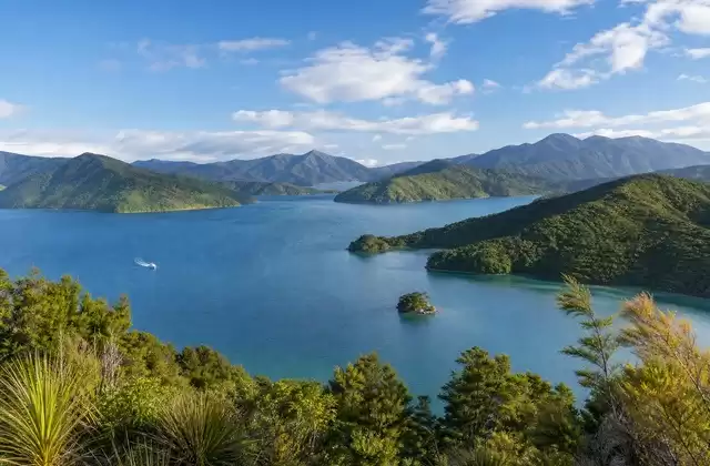 Dans les Marlborough Sounds