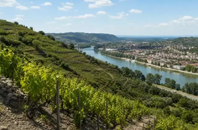 À Tain-l'Hermitage