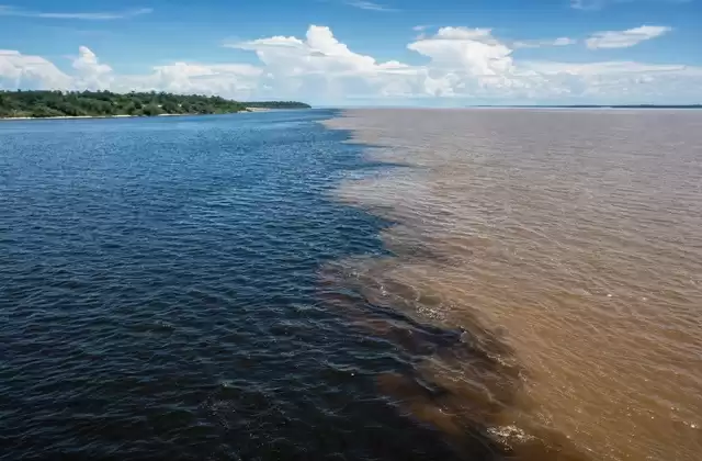 La rencontre des eaux à Manaus