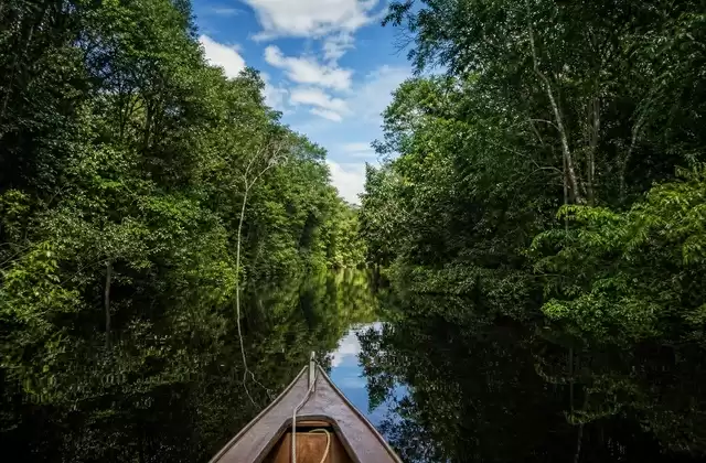 Navigation sur le Rio Negro