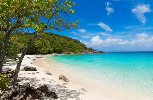 Darkwood Beach