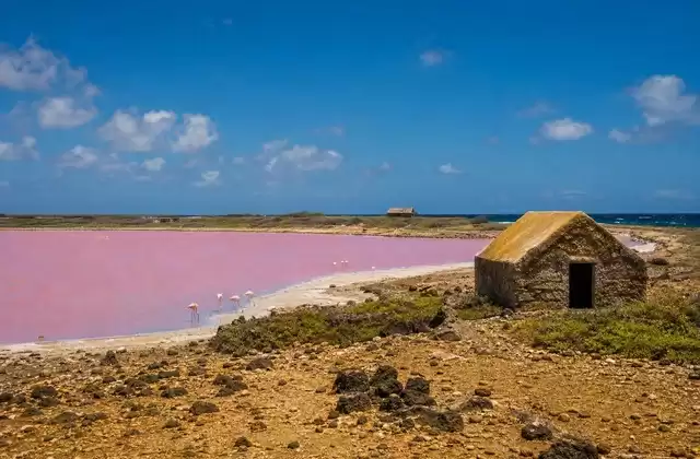 Salines de Pekelmeer