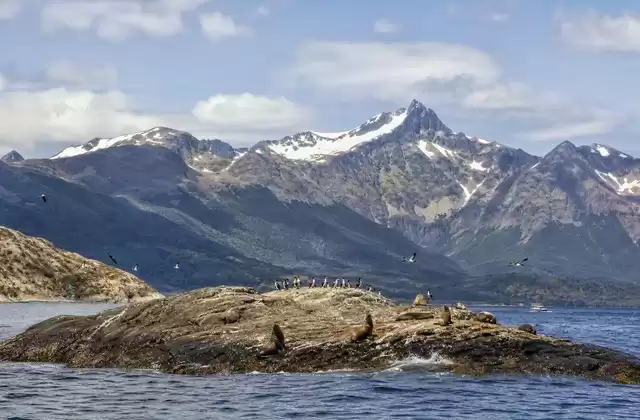 Canal Beagle
