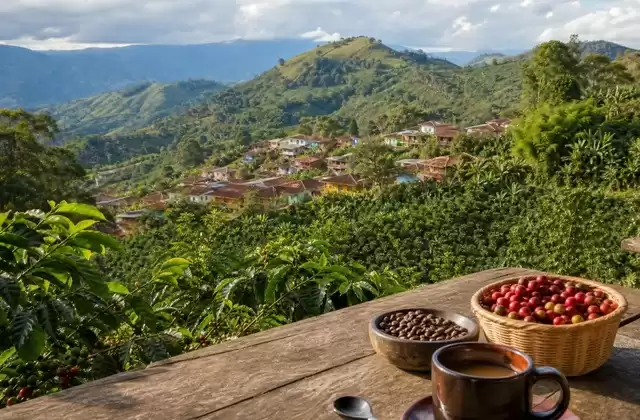 Zone café
