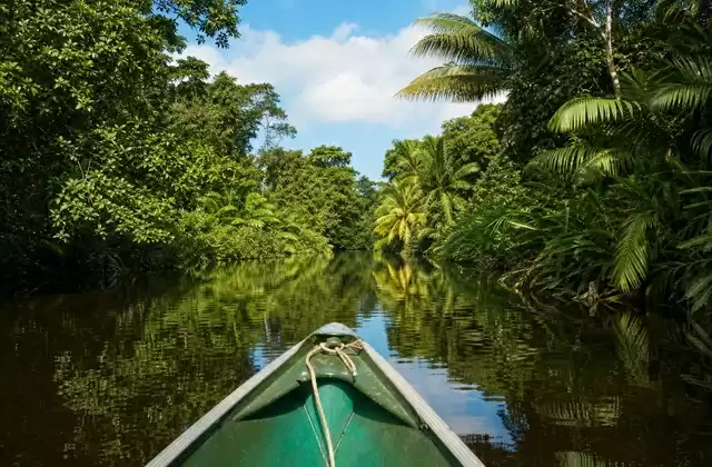 Canaux de Tortuguero
