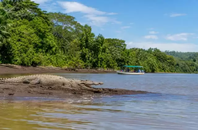 Rivière Tárcoles