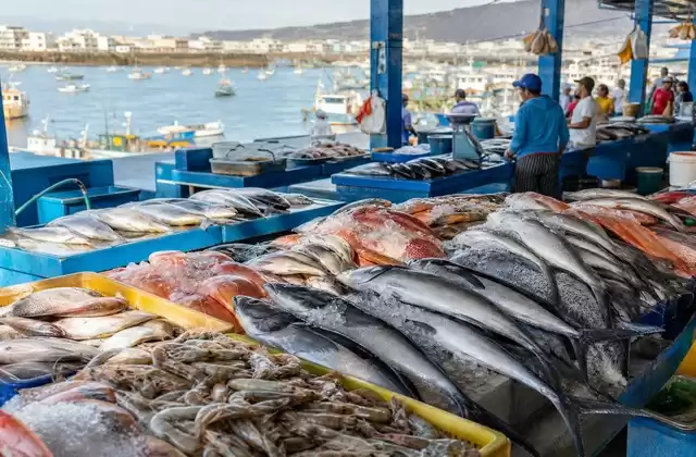 Marché aux poissons de Manta
