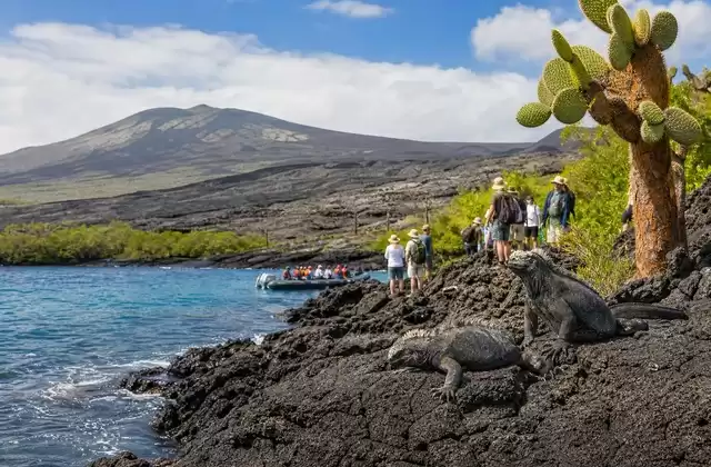 Fernandina