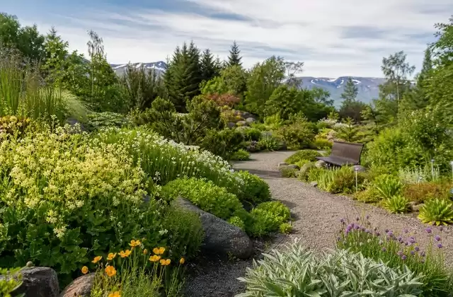 Jardin botanique d'Akureyri
