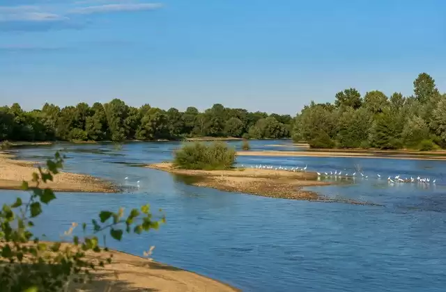 Les îles de Loire