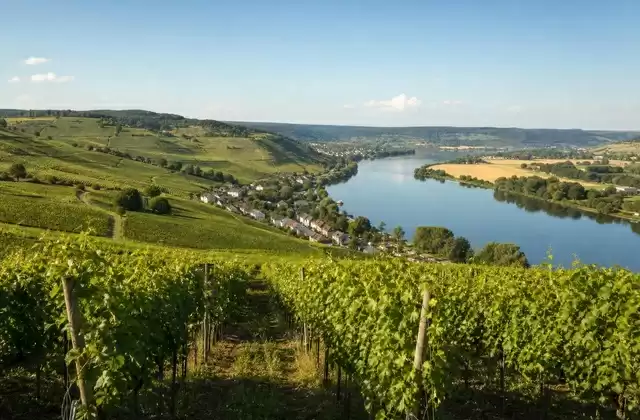 Vignobles de Stadtbredimus