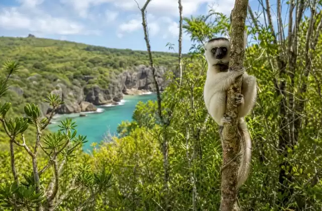 Réserve de Nahampoana