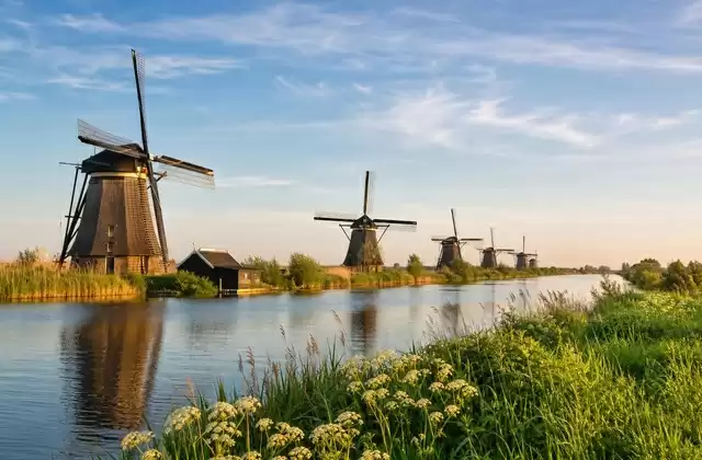 Les moulins de Kinderdijk